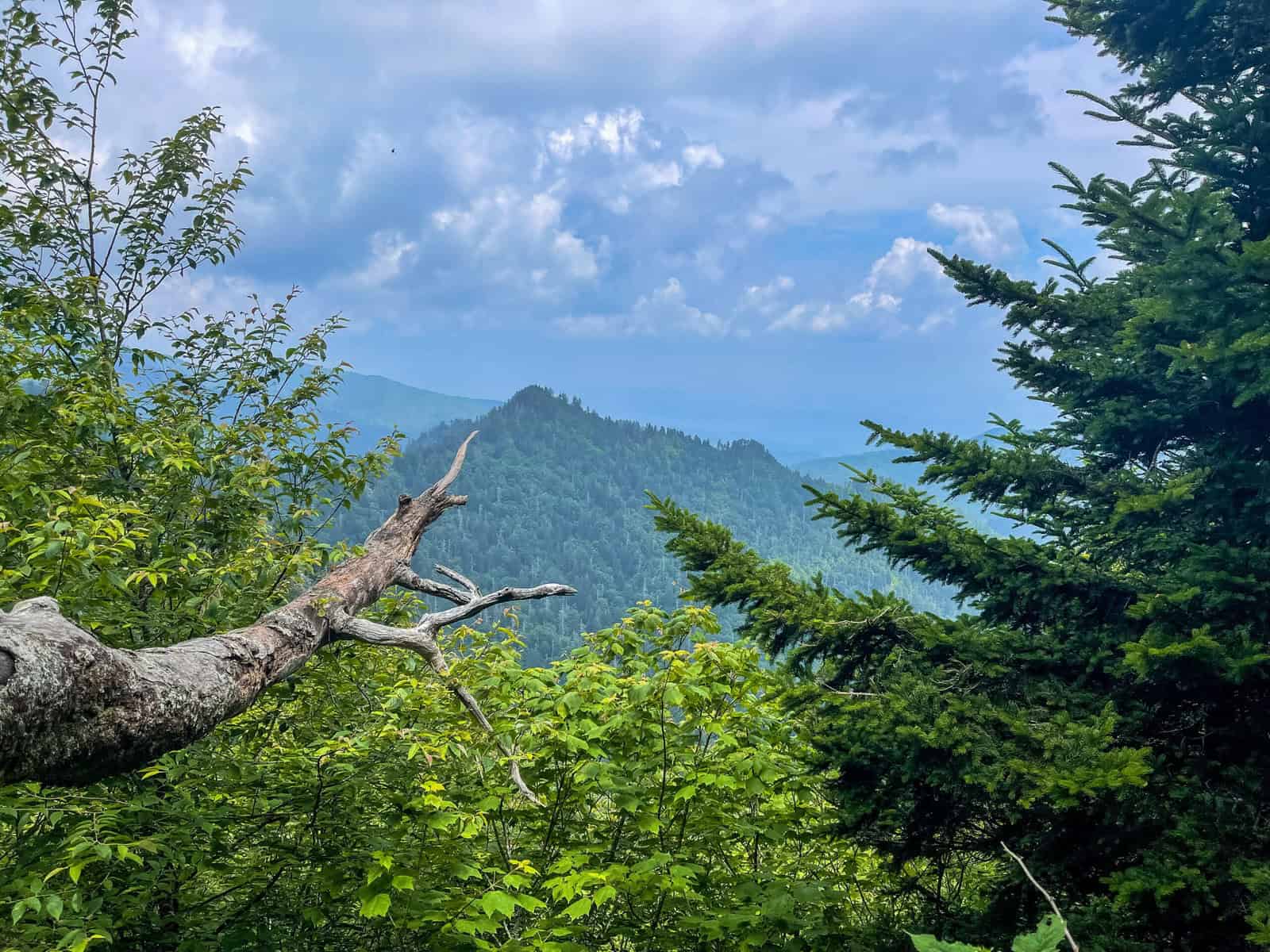 mountain views smokey mtn national park tennessee charlie's bunion hike, live an adventurous life