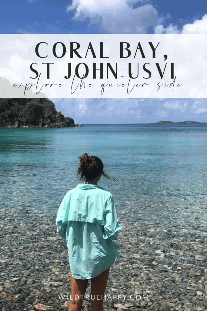 Coral Bay St John - A Complete Travel Guide to Explore St. John's Quieter Side