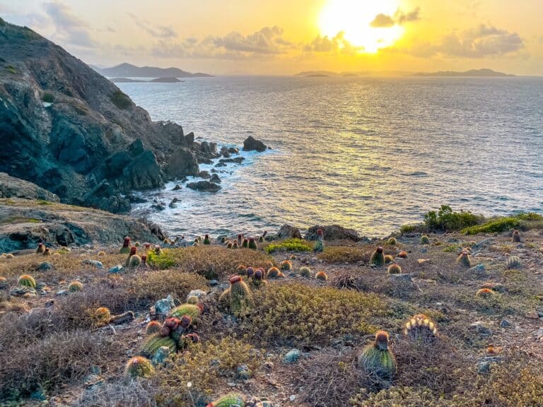 St John sunrise hike ram head trail