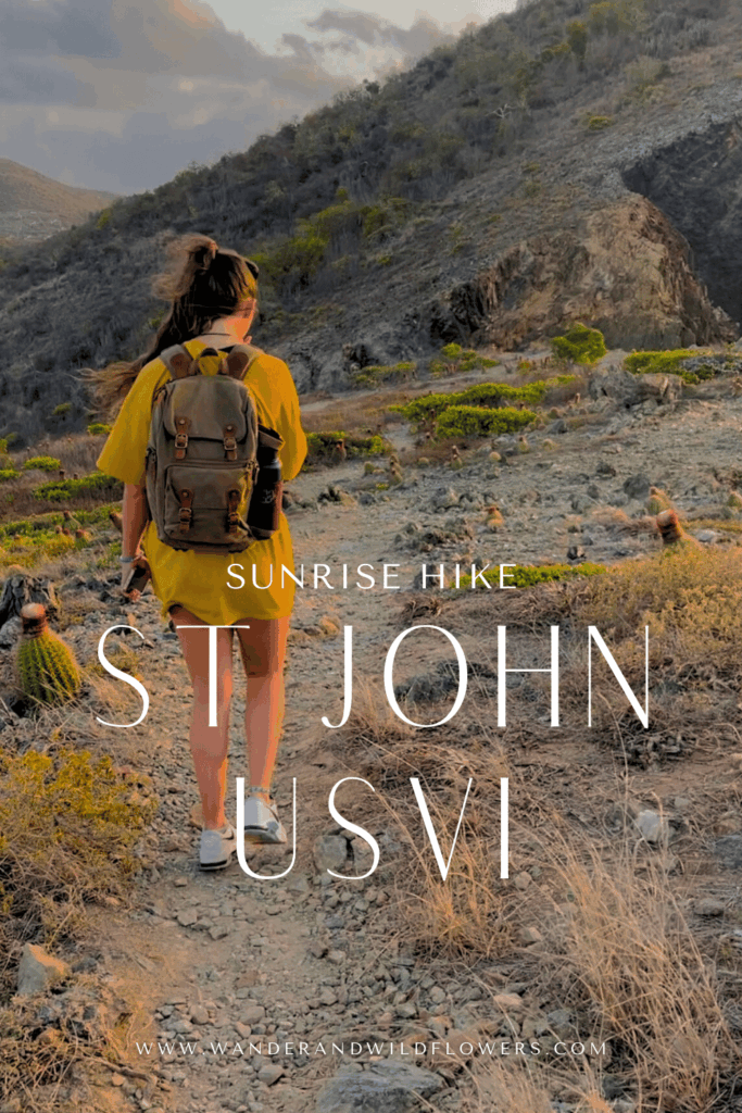 St John Sunrise Hike: Ram Head Trail