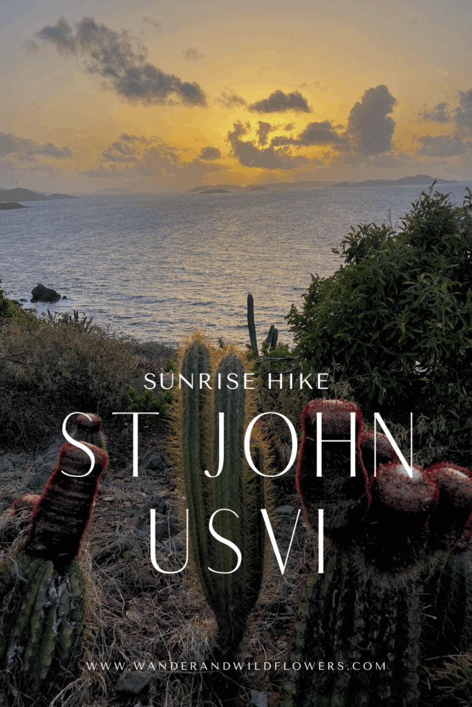 St John Sunrise Hike: Ram Head Trail