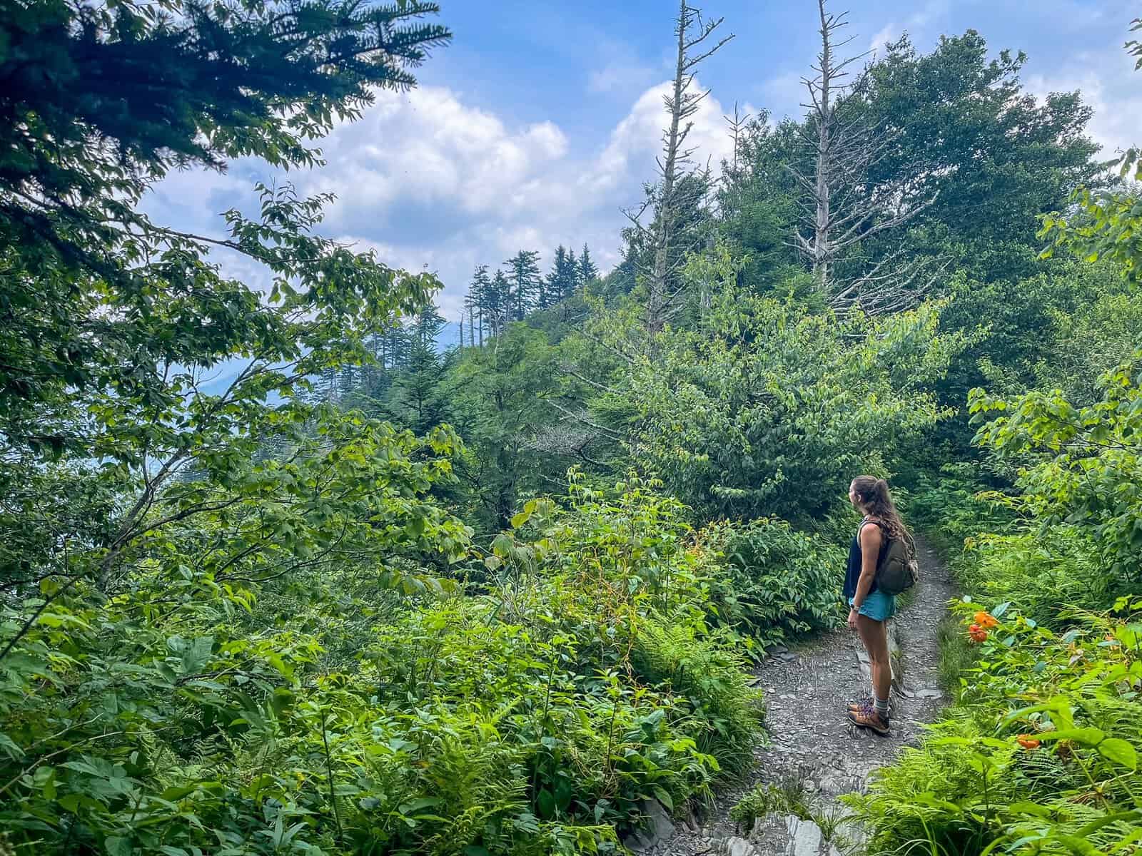 adventure travel outdoorsy lifestyle, charlies bunion trail, great smoky mountain national park