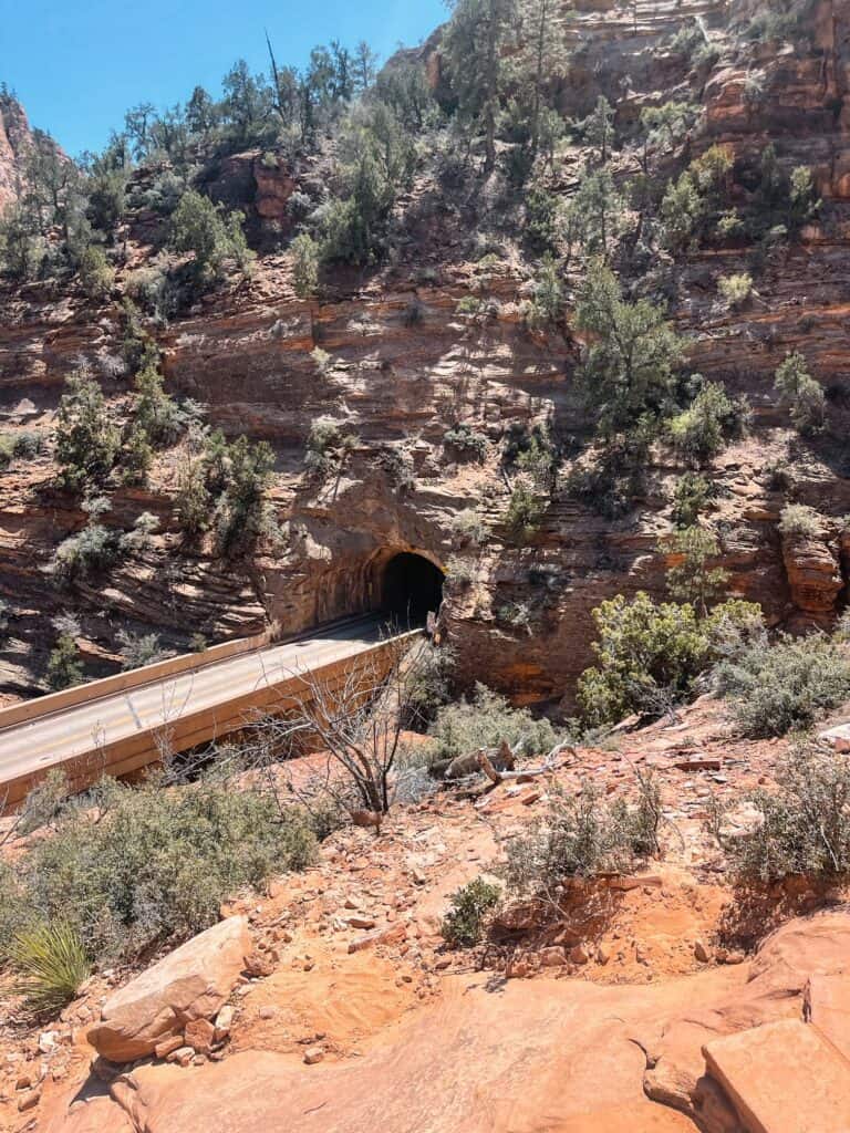 Canyon Overlook Trail Zion