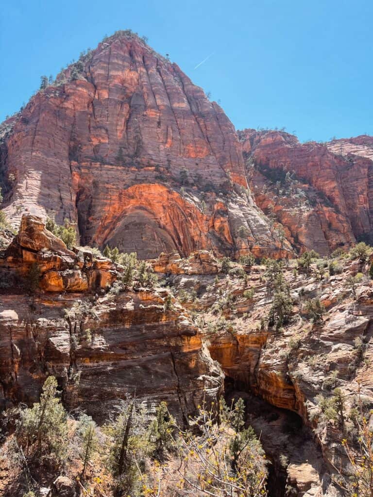 Canyon Overlook Trail Zion