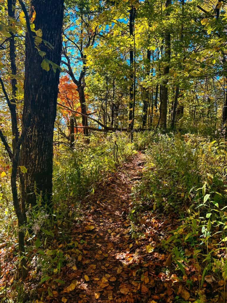 Exploring Black Rock Mountain State Park