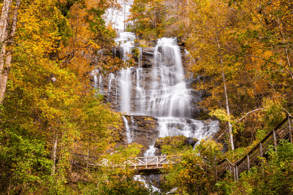 amicalola falls trail waterfall hike