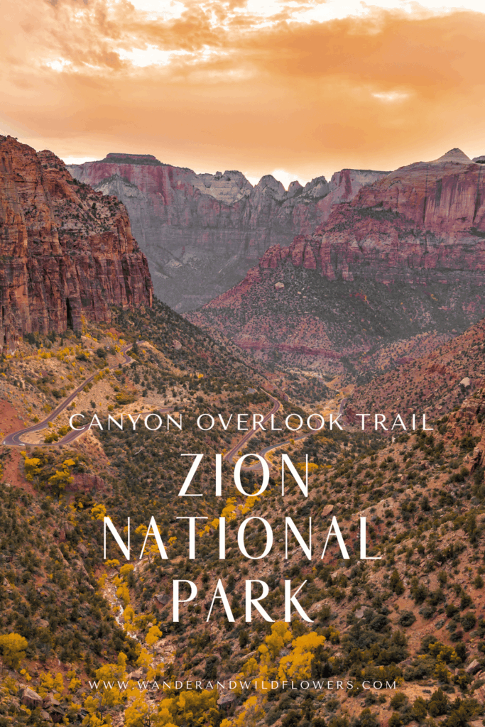 canyon overlook trail zion