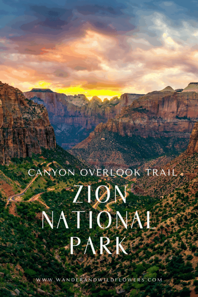 canyon overlook trail zion