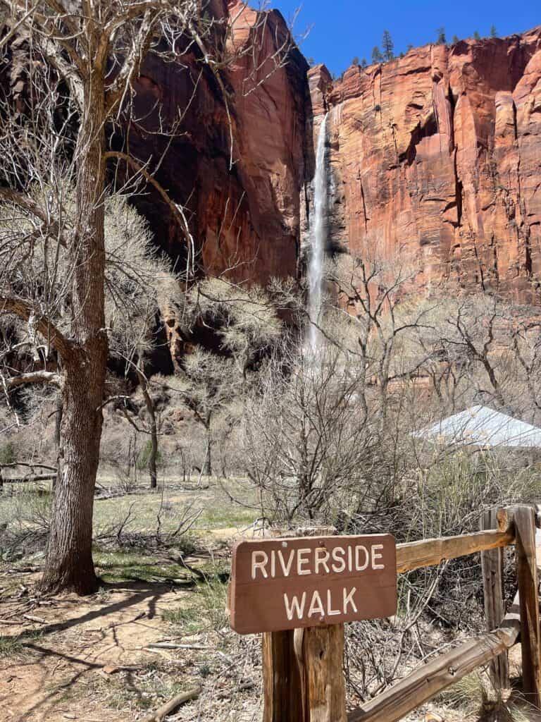 easy hikes zion national park