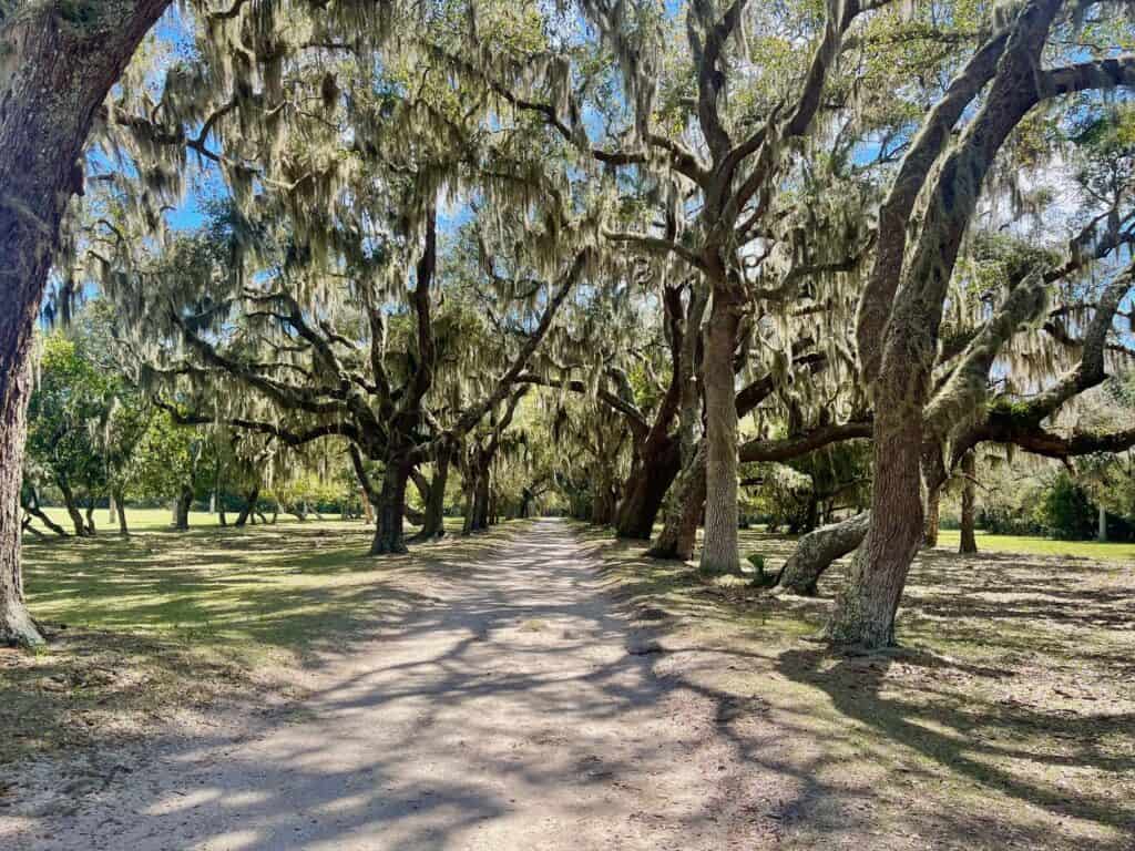 Cumberland Island National Seashore