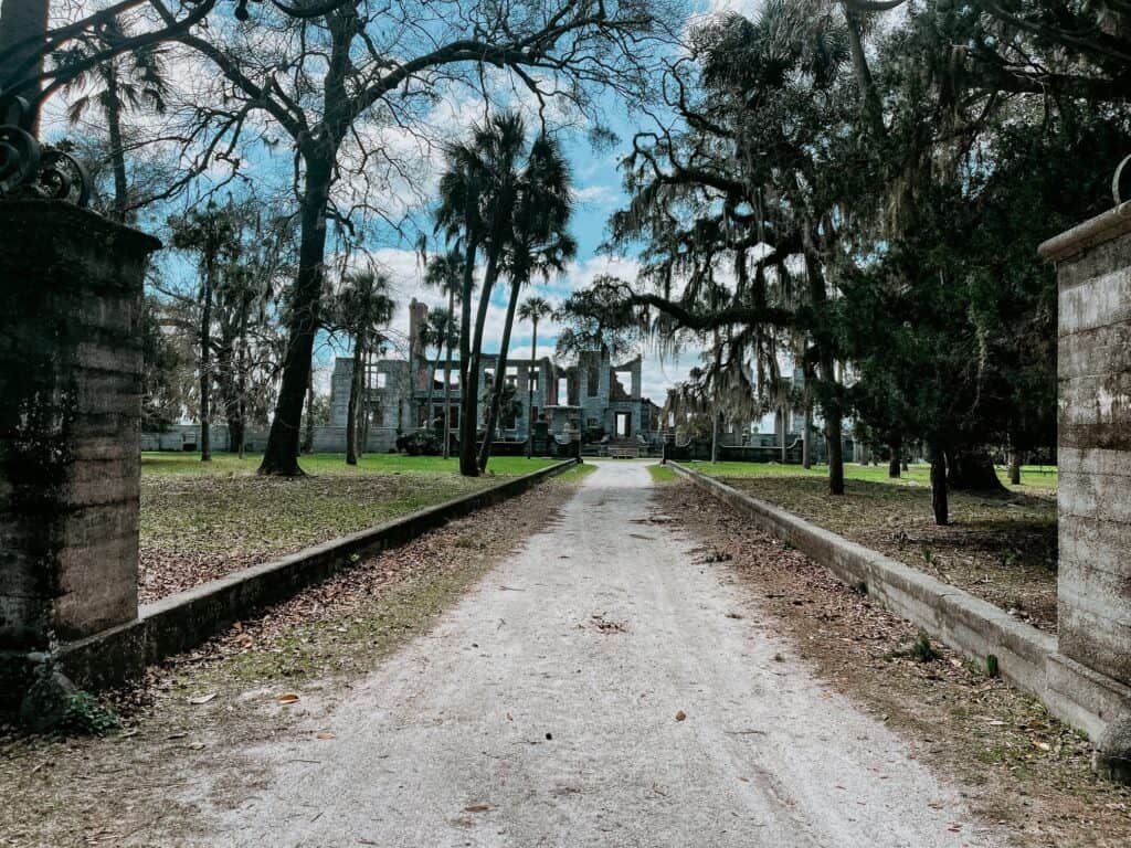 Cumberland Island National Seashore