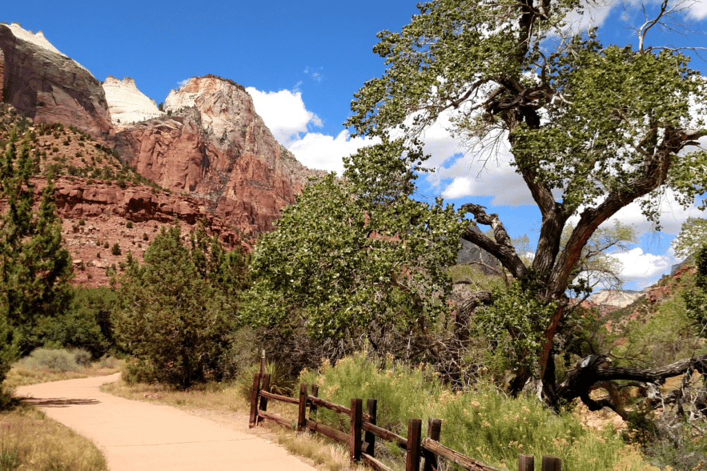 pa'rus trail zion