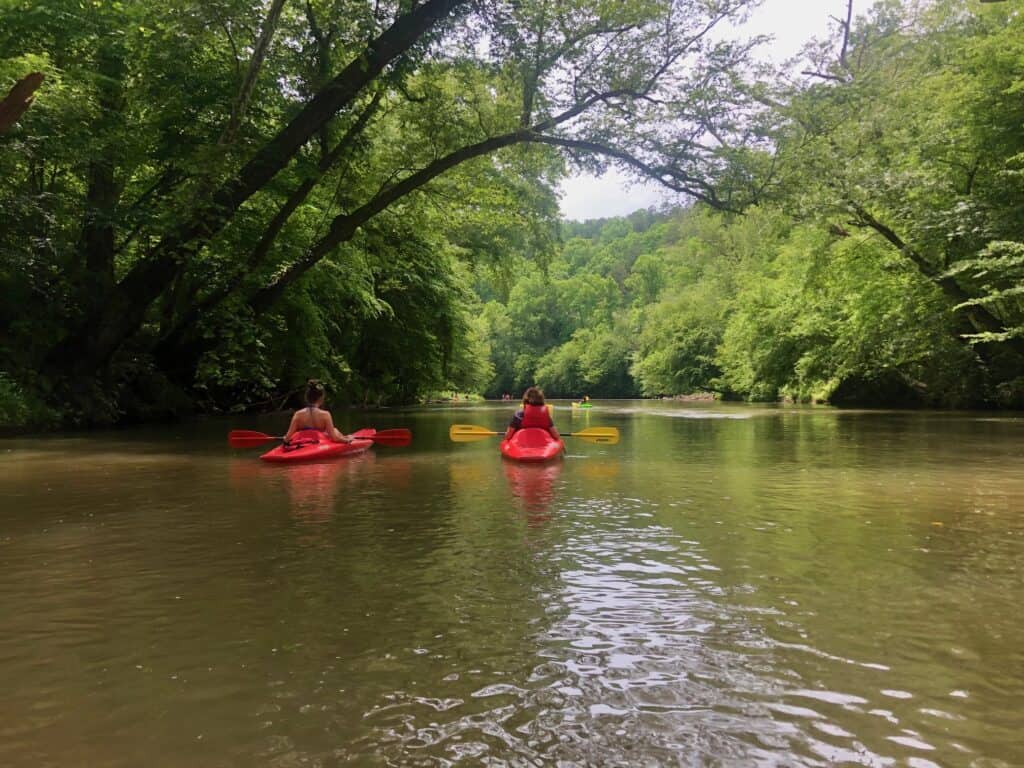 fun things to do in north georgia