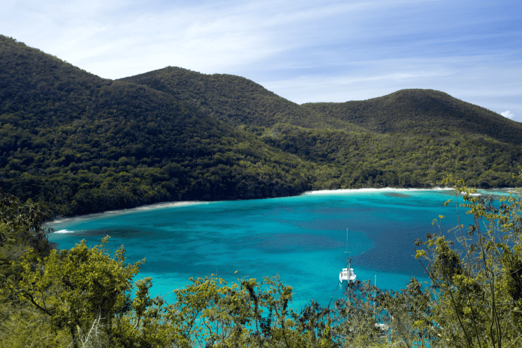 BEST Snorkeling in St John USVI: Top Snorkel Spots & Tours