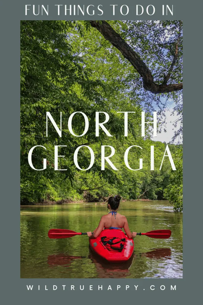 fun things to do in north georgia