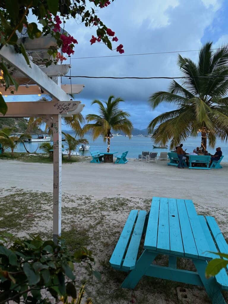 Tipsy Shark Jost Van Dyke