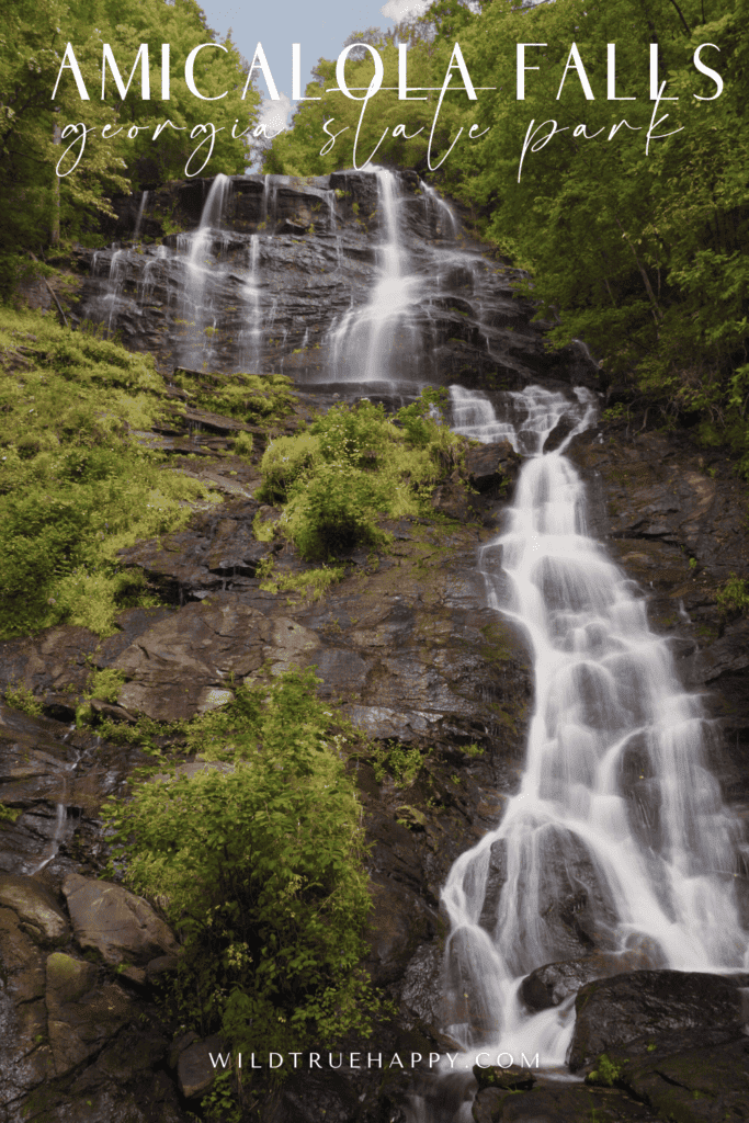 Amicalola Falls Trail: North Georgia Hike