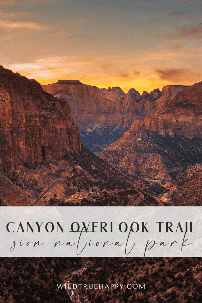 Canyon Overlook Trail, Zion National Park Hike