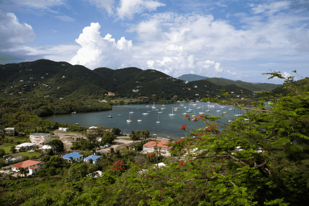 Coral Bay St John - A Complete Travel Guide to Explore St. John's Quieter Side