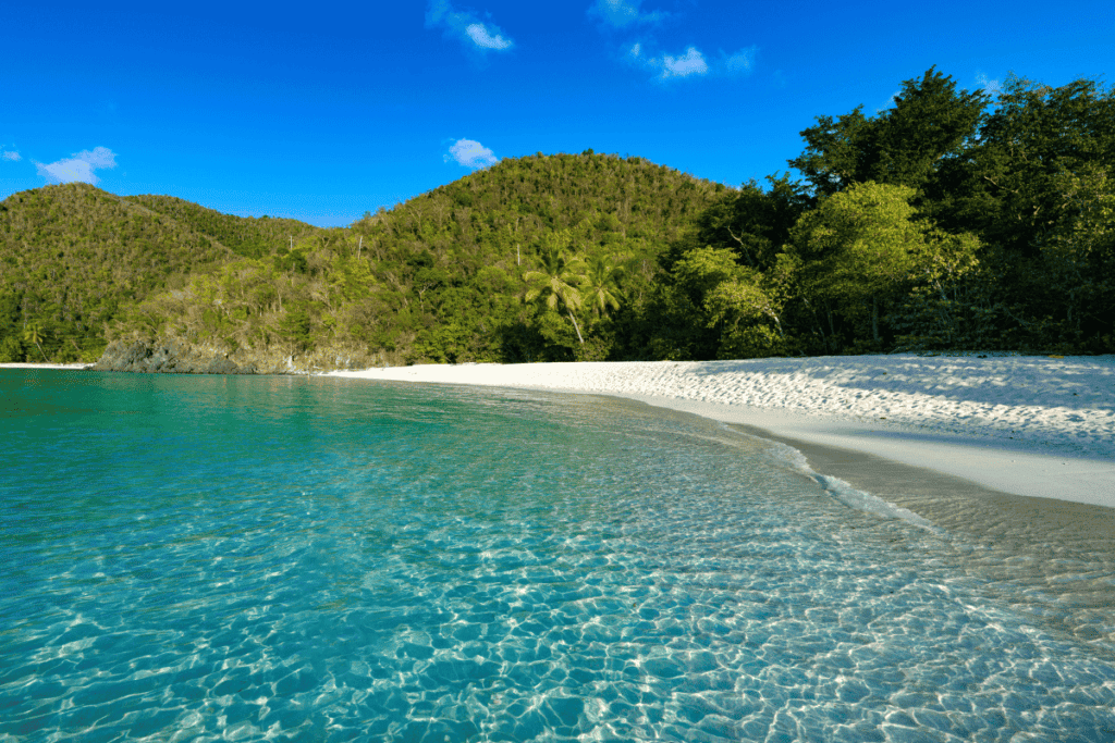 The BEST Beaches St John, US Virgin Islands