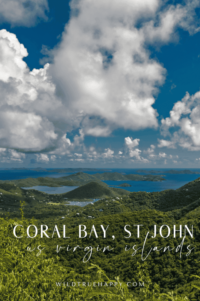 Coral Bay St John - A Complete Travel Guide to Explore St. John's Quieter Side