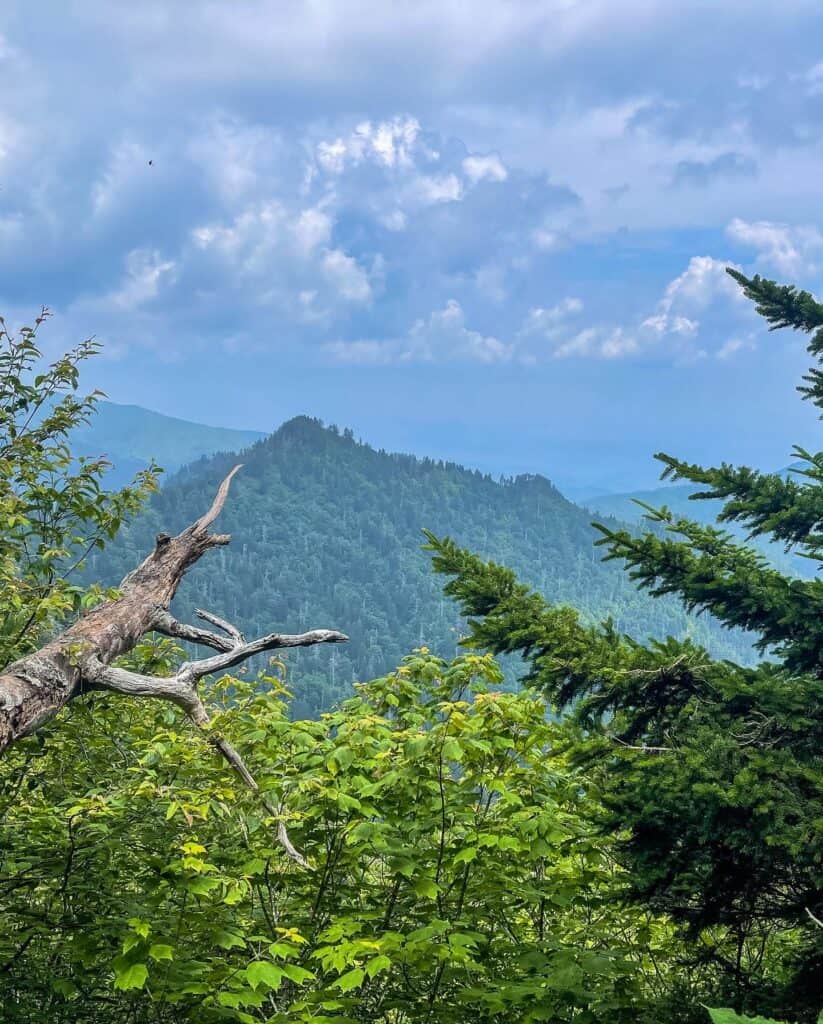 charlies bunion trail and appalachian trail hike, great smoky mountains national park