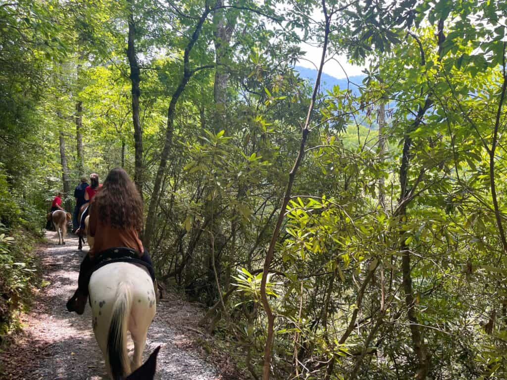 horseback riding, outdoor adventures in smoky mountains national park