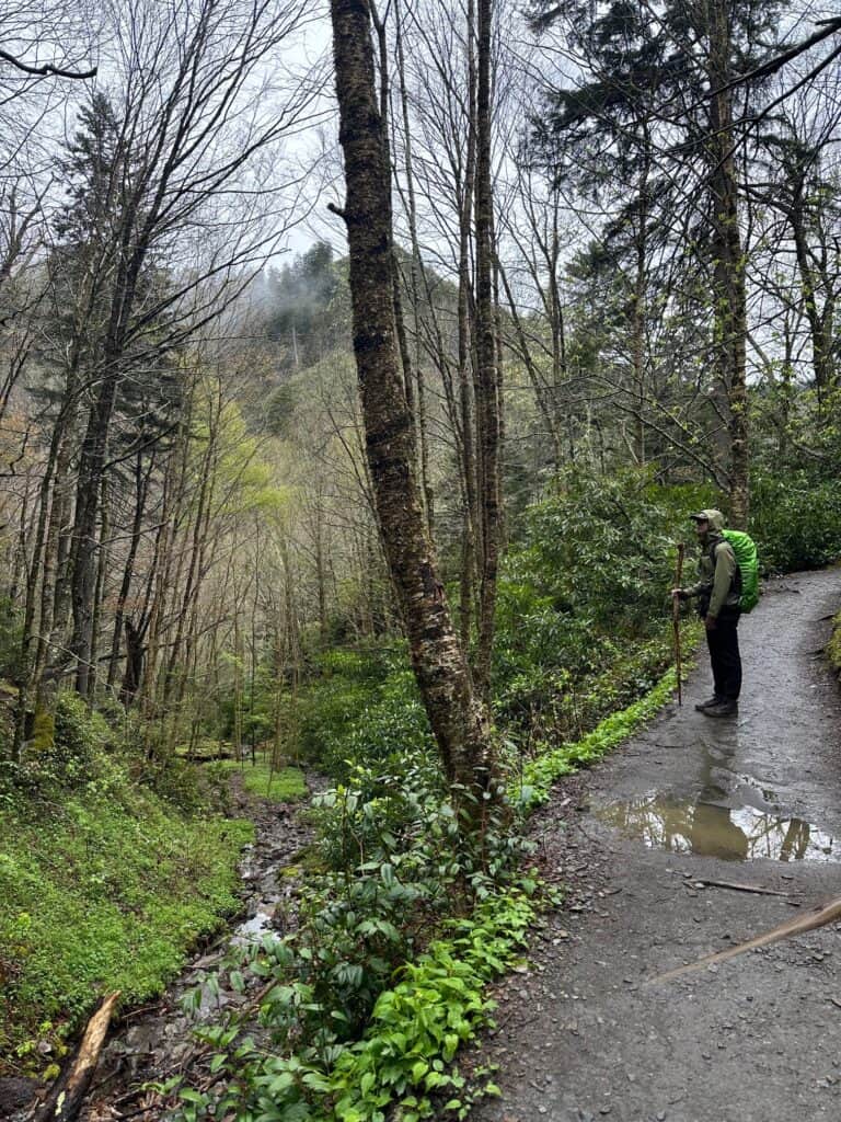 Alum Cave Trail to Leconte Lodge: A Smoky Mountain Hiking Adventure