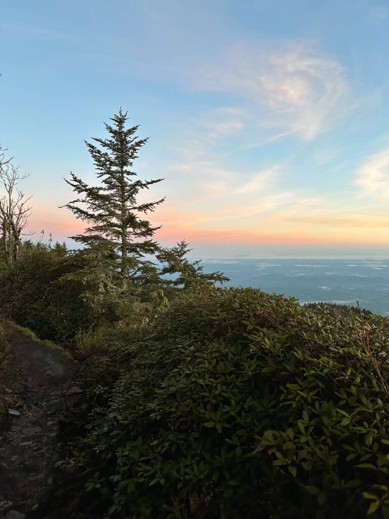 Mt LeConte, Great Smoky Mountains National Park