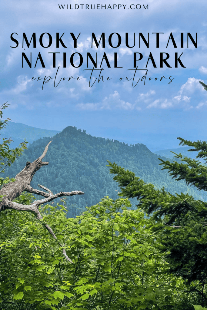 5 Incredible Outdoor Adventures in Smoky Mountains National Park