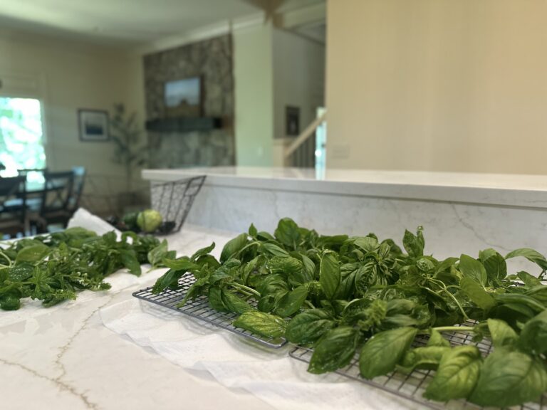 what I did with all my basil