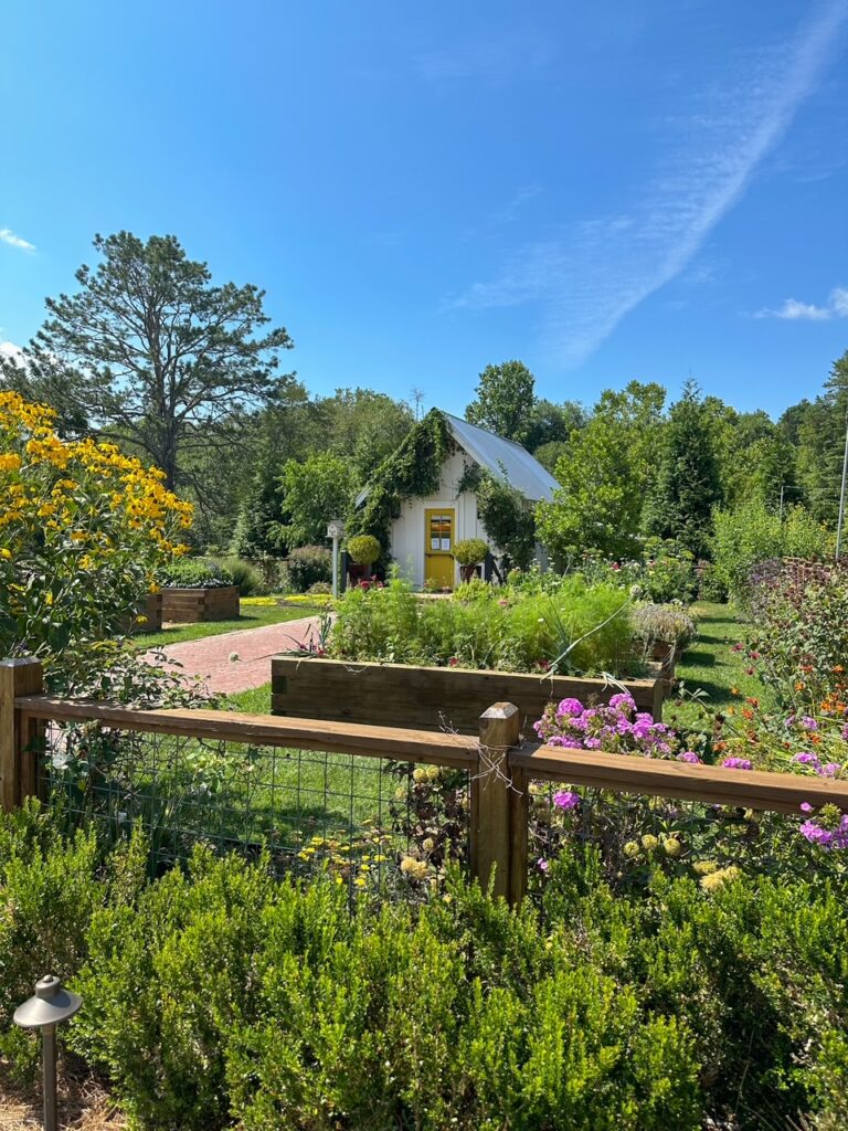 How to Start a Cottage Garden: Design, Plants, & Layouts for Beginners