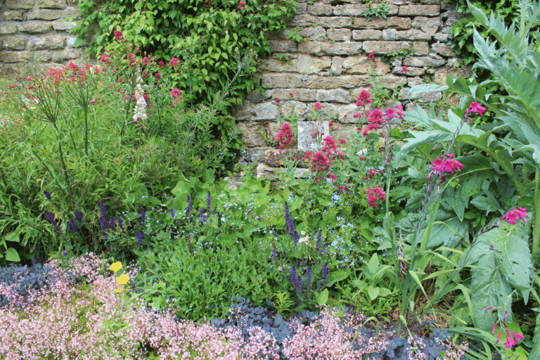Why A Cottage Garden is Perfect for Beginners