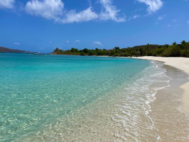 Simple Favorites from St. John
