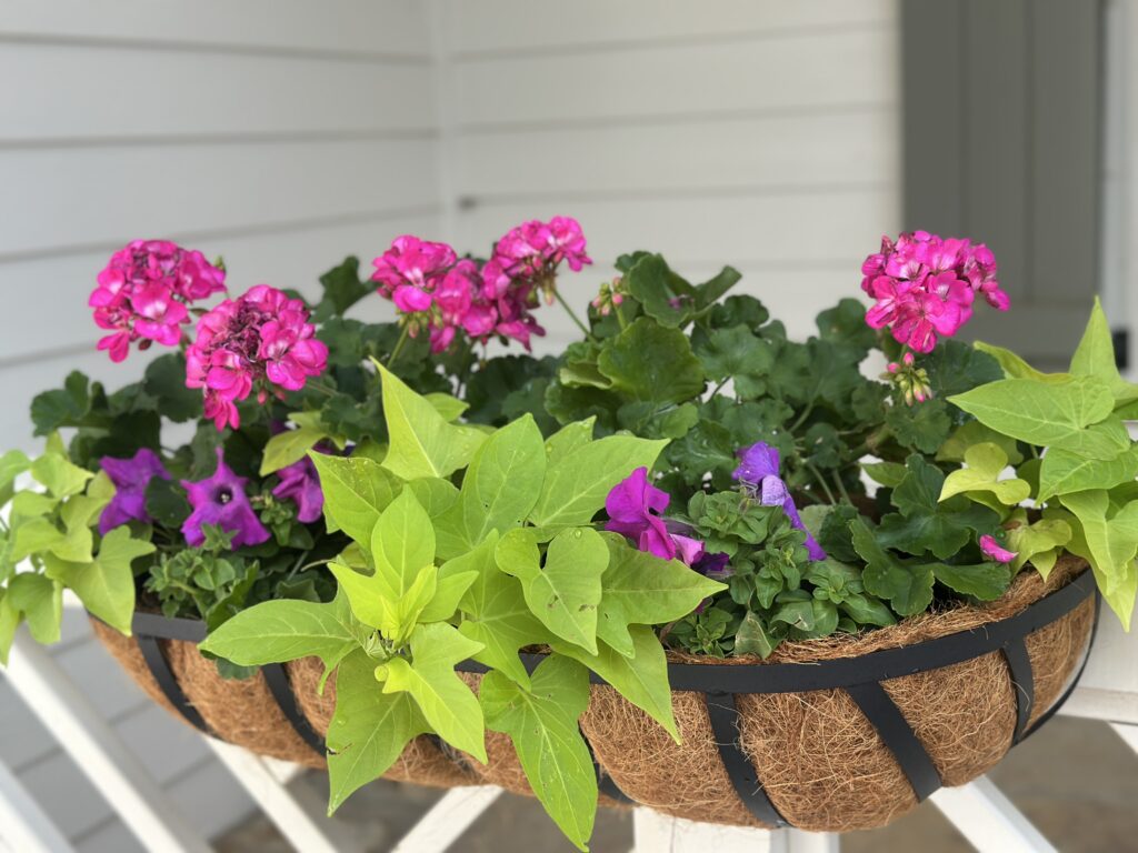 cottage style porch rail planters