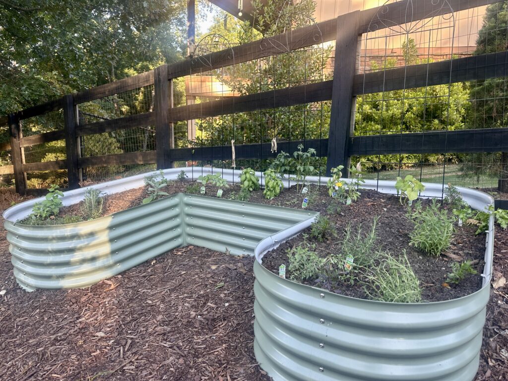 kitchen garden